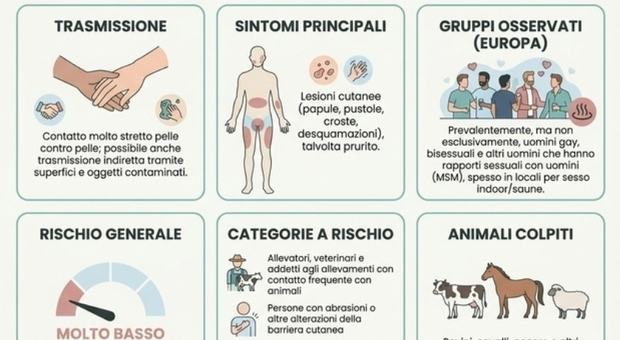 Dermatofilosi, cos?è la ?malattia della pioggia?: sintomi, contagio e casi in aumento in Europa