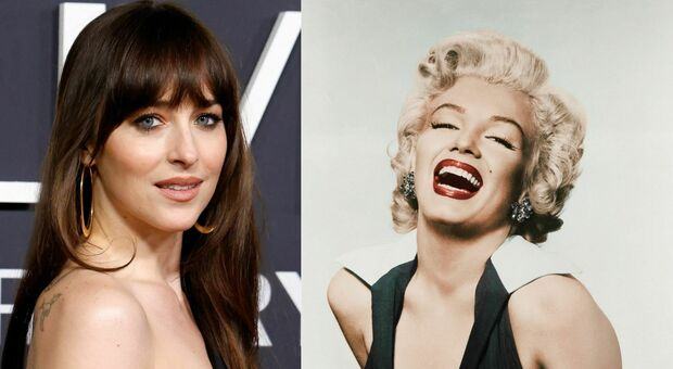 «Dakota Johnson e Marilyn Monroe sono davvero parenti»: tra cinema e realtà la rivelazione di MyHeritage
