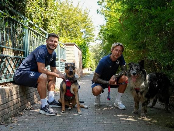 «Un gol per loro», il Bologna racconta al Dall'Ara la storia dei cani in cerca di casa