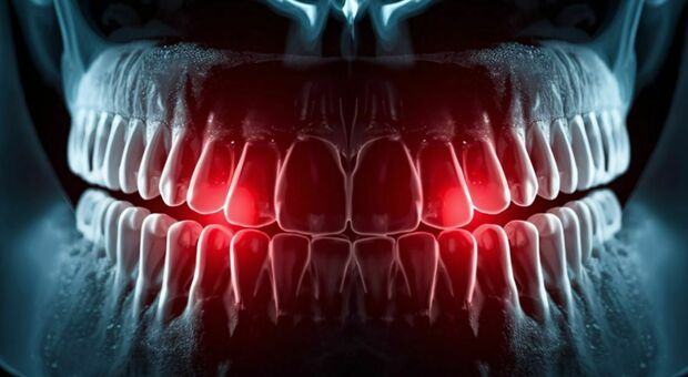 Denti che ricrescono da soli? Anticorpo (made in Japan) trasforma la fantascienza in cura
