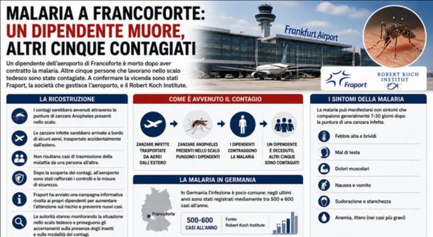 Malaria negli aeroporti, Bassetti: «Zanzara Anopheles nei bagagli, può vivere nello scalo per un periodo limitato»