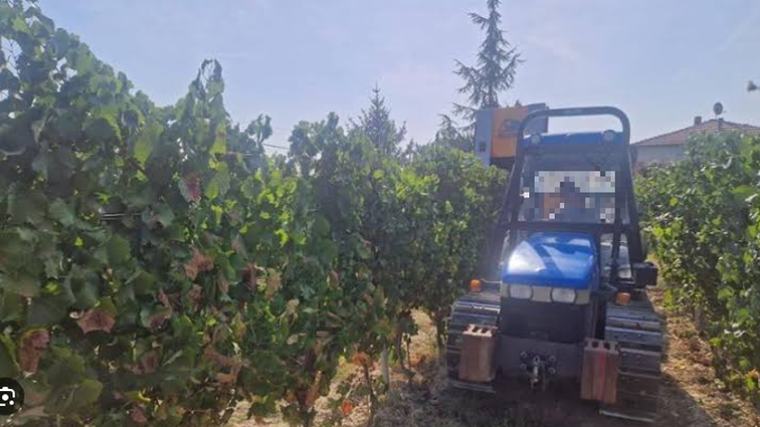 Trapani, incidente sul lavoro: muore incastrato in una vendemmiatrice
