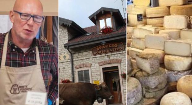 Made in Malga, torna il festival del formaggio: degustazioni, incontri, escursioni e musica. Il programma