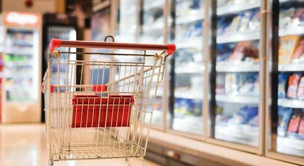 Supermercati e discount, la classifica Altroconsumo: quali sono i più convenienti e le città (e regioni) in cui si risparmia. La mappa
