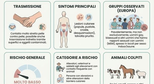 Malattia della pioggia, casi in aumento in Europa. Pregliasco: «Il contagio cambia». Cosa è la dermatofilosi e i sintomi