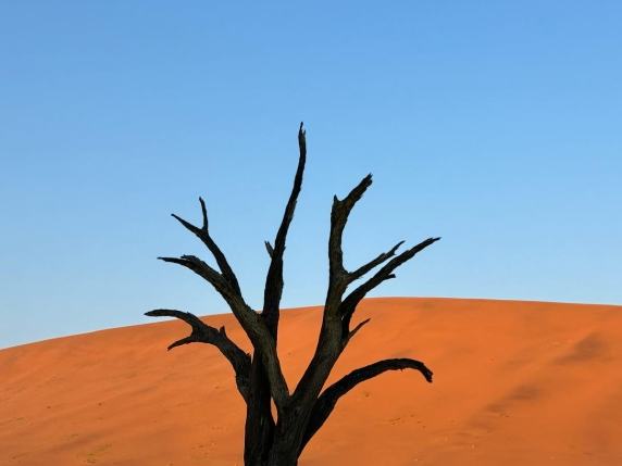 Deadvlei, Namibia, nella «foresta degli alberi morti» che rischia di morire (di nuovo)