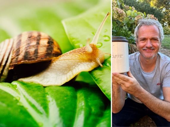 Lumache nell’orto e in giardino: come tenerle lontane con rimedi naturali e fai-da-te. I tre consigli di Pietro Bruni