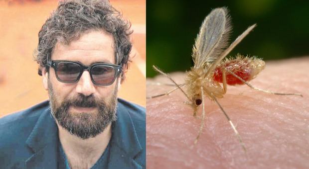 Toscana virus, cos'è l'infezione contratta da Tommaso Paradiso: sintomi, come si trasmette, cure e dove è diffuso