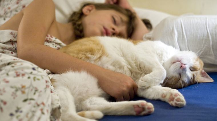 È stato scoperto il meccanismo che 'etichetta' i ricordi nel sonno
