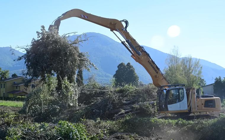Guerra per gli alberi. Allarme a Sant’Anna. L’Oipa chiede tutela