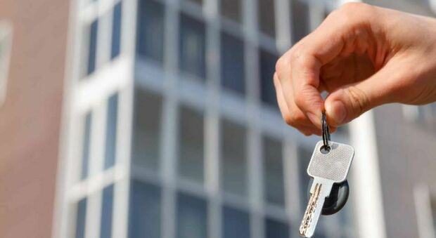 Bonus affitto studenti fuorisede: come funziona, i requisiti e come richiederlo