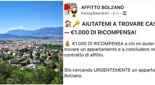 «Offro 1000 euro a chi mi trova casa in affitto con urgenza»: l'annuncio disperato e la crisi abitativa