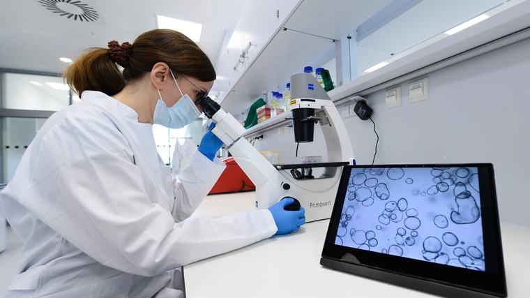 Tumore alla vescica, il test urine 'fai da te' scova 9 casi su 10: addio cistoscopia