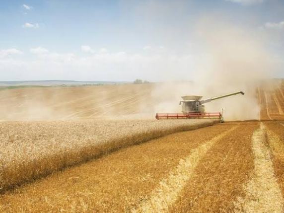 La guerra del grano: prezzi in aumento tra Ucraina, siccità e rischio sicurezza alimentare