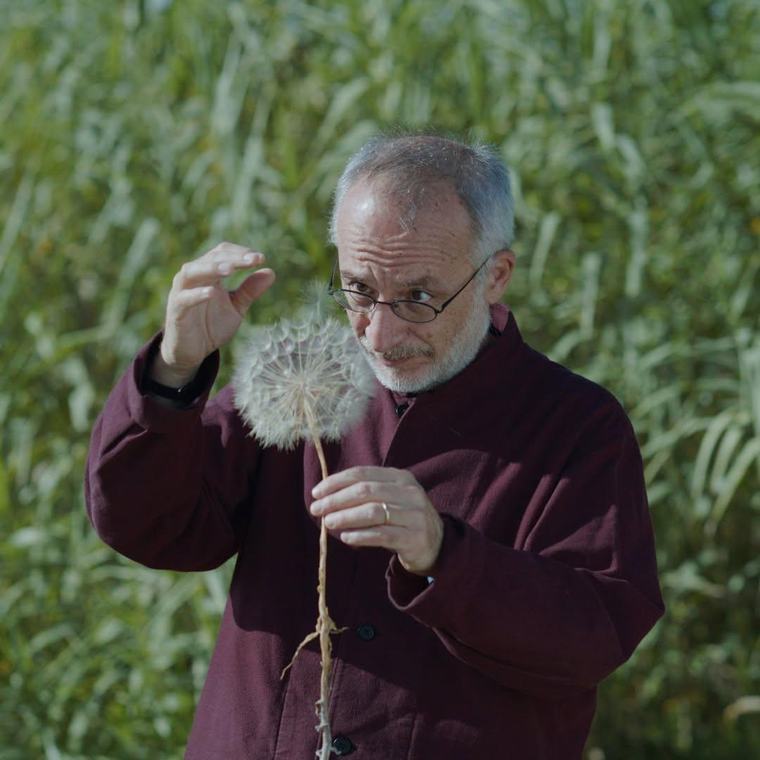 Alberi, il documentario. Al Festival di Venezia un gioiello prodotto dal pratese Nespeca